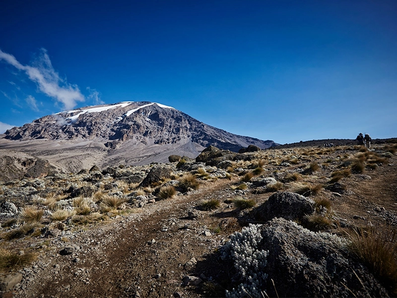 6 Days Kilimanjaro Trekking Rongai Route