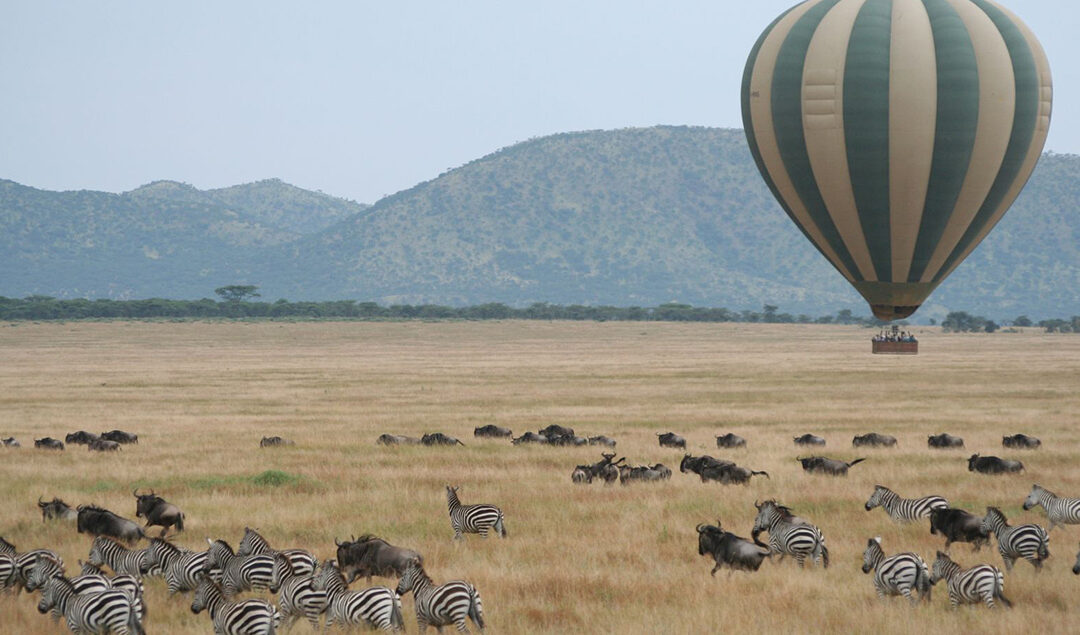 Serengeti Hot Baloon Safari